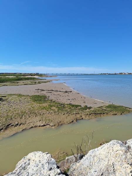 paysage riviere